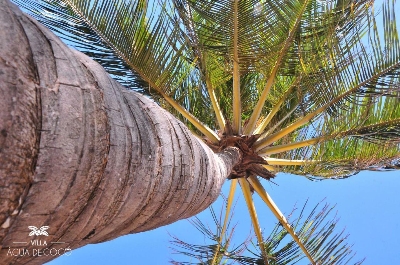 Villa Agua De Coco Jijoca de Jericoacoara Exterior foto